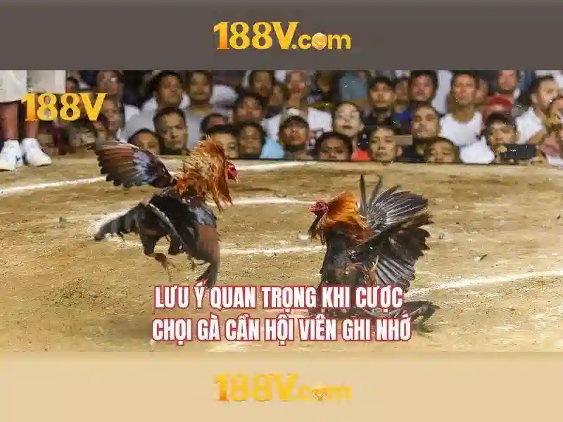 Thiết kế và bảo trì hệ thống 188V