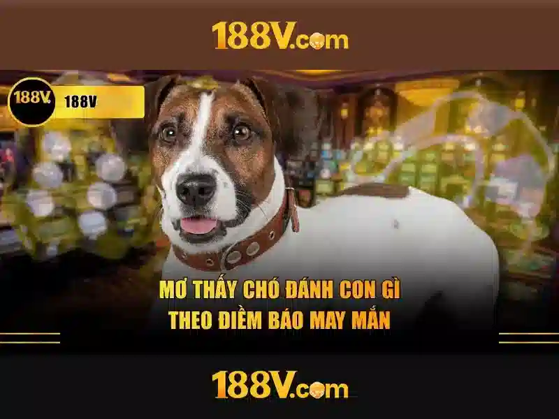Khái niệm 188v