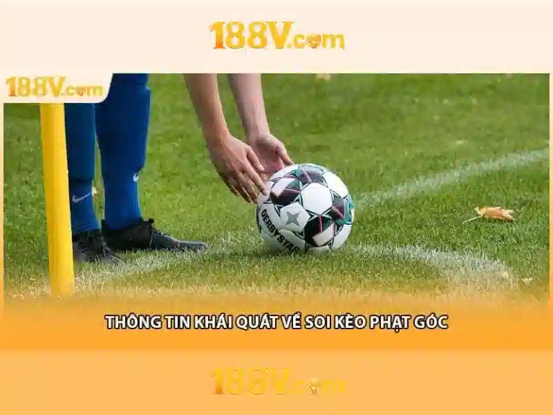 Đặc điểm và phạm vi sử dụng