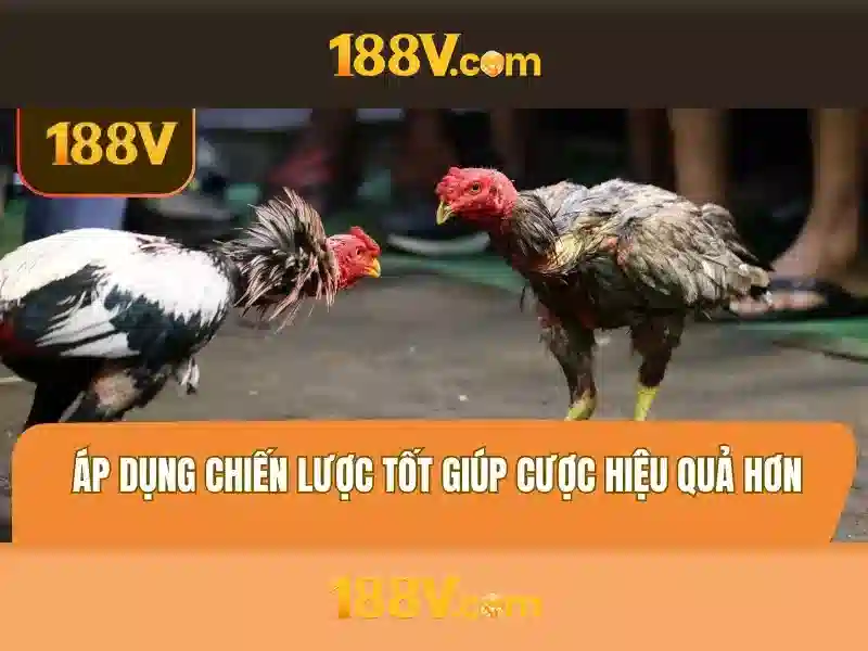 Khái niệm 188V