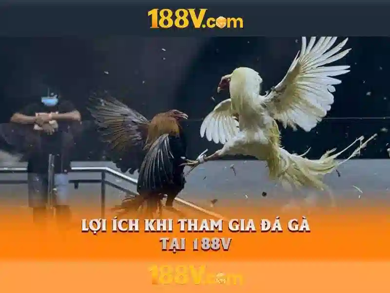 Nguồn gốc và ý nghĩa của 188v