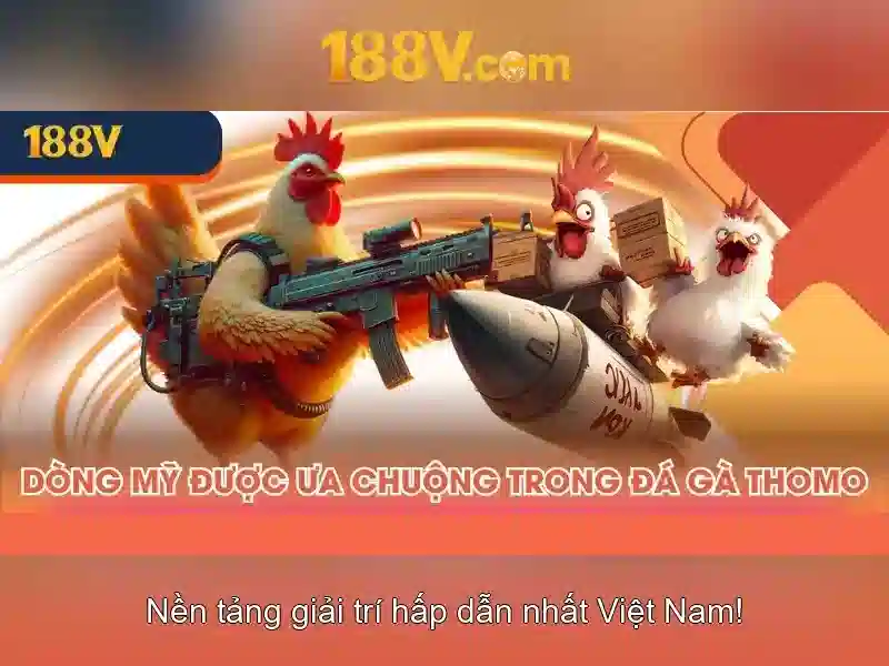 Khuyến nghị cuối cùng và tài nguyên học tập