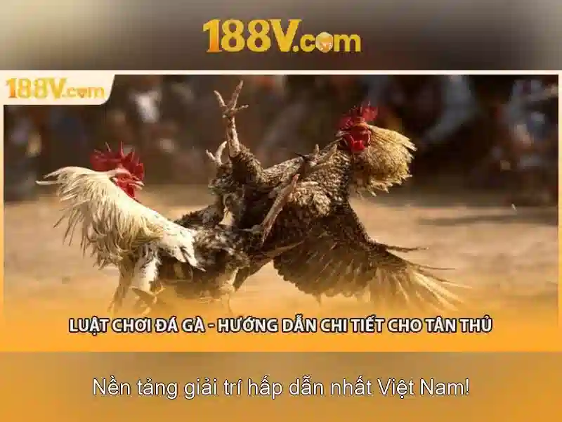 Kết luận về 188v