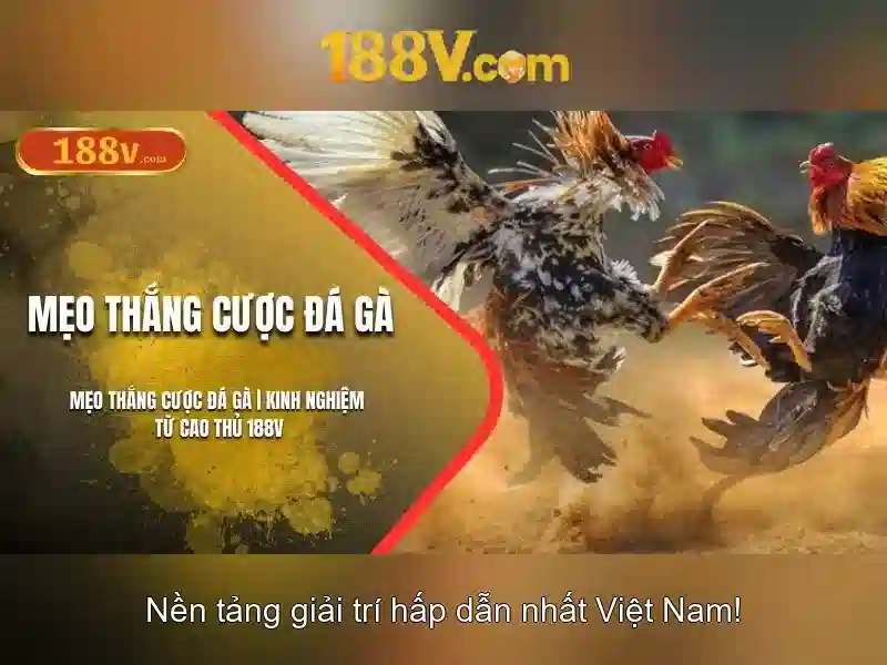 Nguồn gốc và ý tưởng