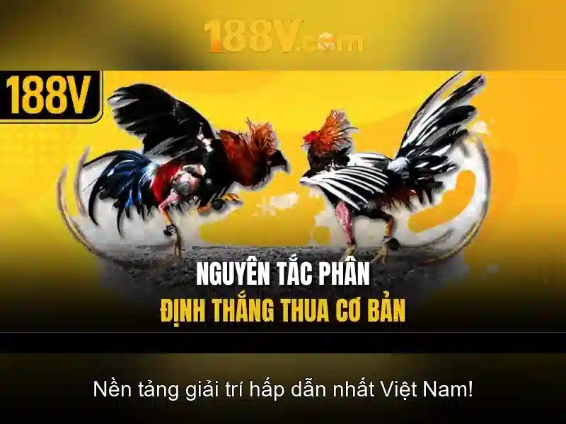 188v – Trang Chủ Chính Thức 188BET | Link Vào Không Bị Chặn 2024