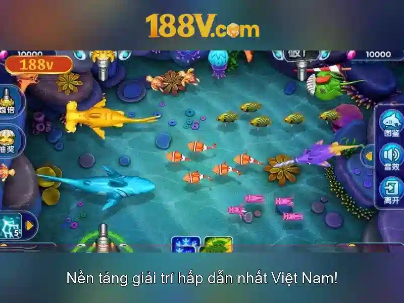 Định nghĩa và bối cảnh