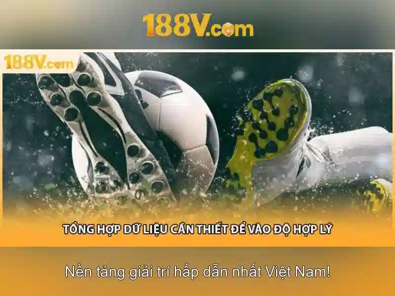 Kết luận và cam kết