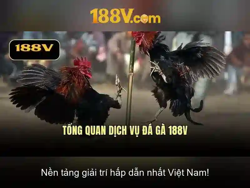 Một khung nhìn đa chiều về 188v