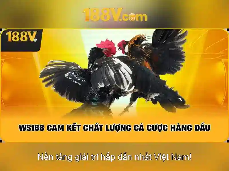 Tương lai của 188v