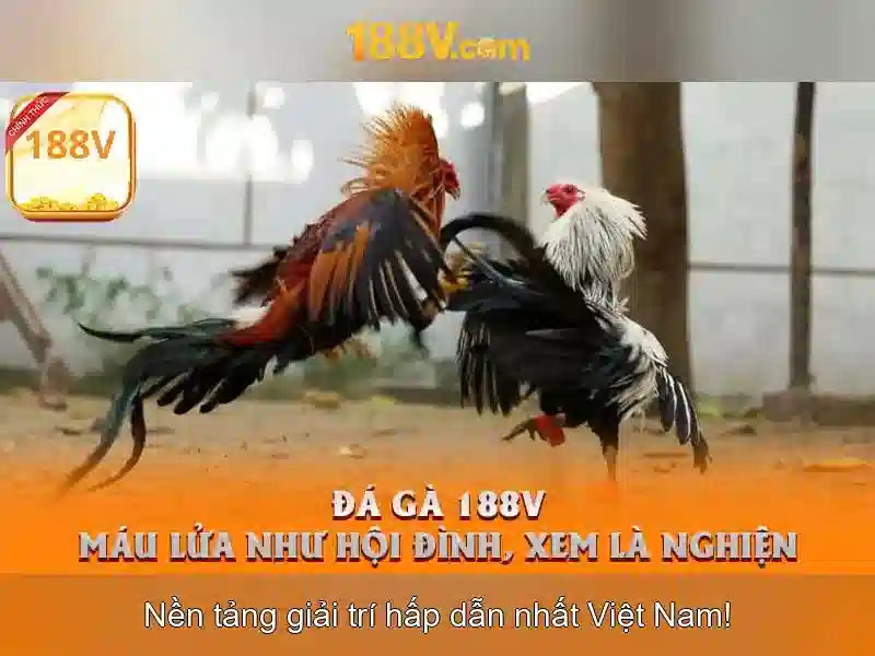Ví dụ thực tế và câu chuyện