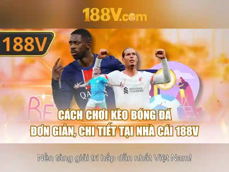 Ứng dụng và lĩnh vực