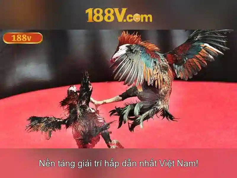 Khám phá 188v