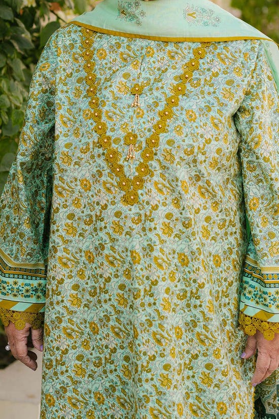 3 Piece Unstitched Printed Lawn Suit CL-52372 B